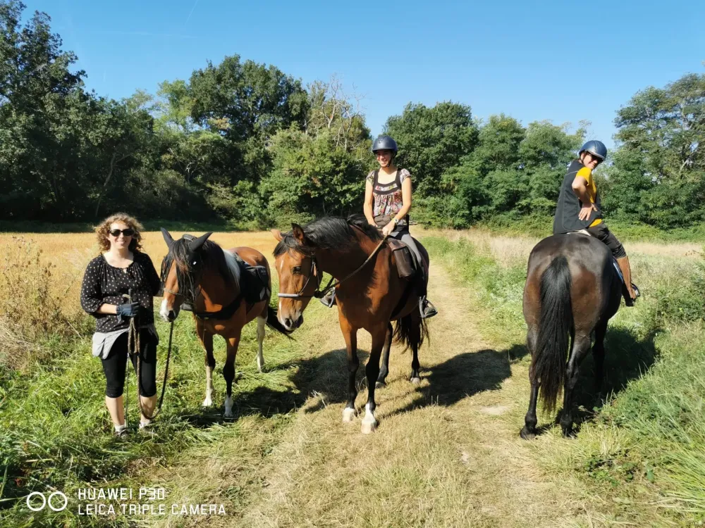 Pension chevaux à Cournonterral