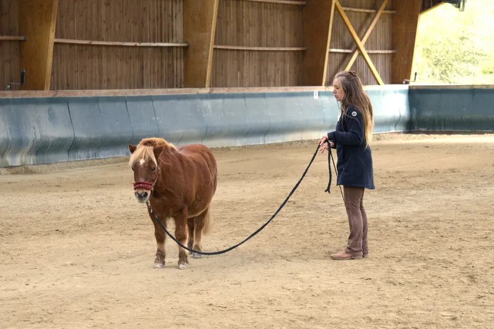 Paddock individuel à Cournonterral